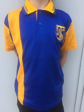 Picture of Torquay State School Day Polo