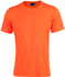 Picture of Winning Spirit Mens Rotator Tee (TS29)