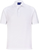 Picture of Winning Spirit Mens Sustainable Corporate Short Sleeve Polo (PS91)