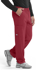 Picture of Skechers Men's Elastic Waist Structure Cargo Pant (SK0215)