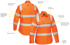 Picture of Bisley Workwear Womens Taped Biomotion Cool Lightweight Hi Vis Shirt (BL6016T)