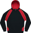 Picture of Aussie Pacific Kids Huxley Hoodie (3509)