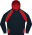 Picture of Aussie Pacific Kids Huxley Hoodie (3509)