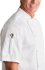 Picture of Biz Collection Mens Zest Short Sleeve Chef Jacket (CH232MS)