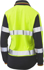 Picture of Bisley Workwear Womens Taped Two Tone Hi Vis V Neck Polo (BKL6225T)