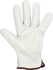 Picture of JB's Wear Premium Rigger Glove - 12 Pack (6WWG)