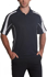Picture of Winning Spirit Mens Legend Polo (PS53)