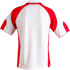 Picture of Winning Spirit Mens Alliance Polo (PS61)