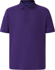 Picture of Winning Spirit Mens Connection Polo (PS63)