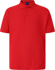 Picture of Winning Spirit Mens Connection Polo (PS63)