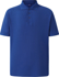 Picture of Winning Spirit Mens Connection Polo (PS63)