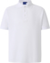 Picture of Winning Spirit Mens Connection Polo (PS63)